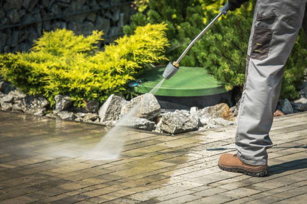 Best Sidewalk and Walkway Cleaning  in Inverness, FL