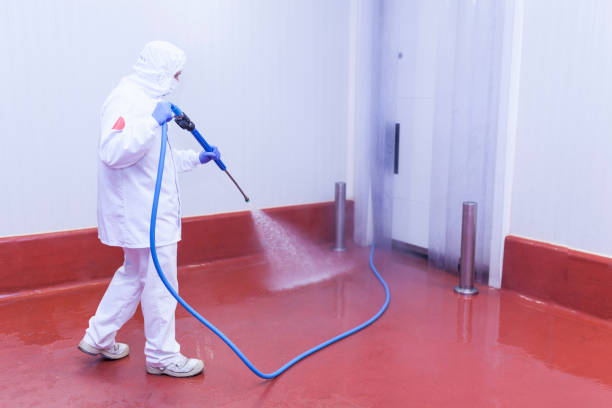 Reliable Inverness, FL Pressure Washing Services Solutions